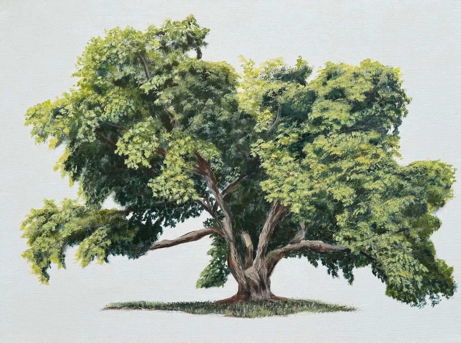 Four Seasons III
