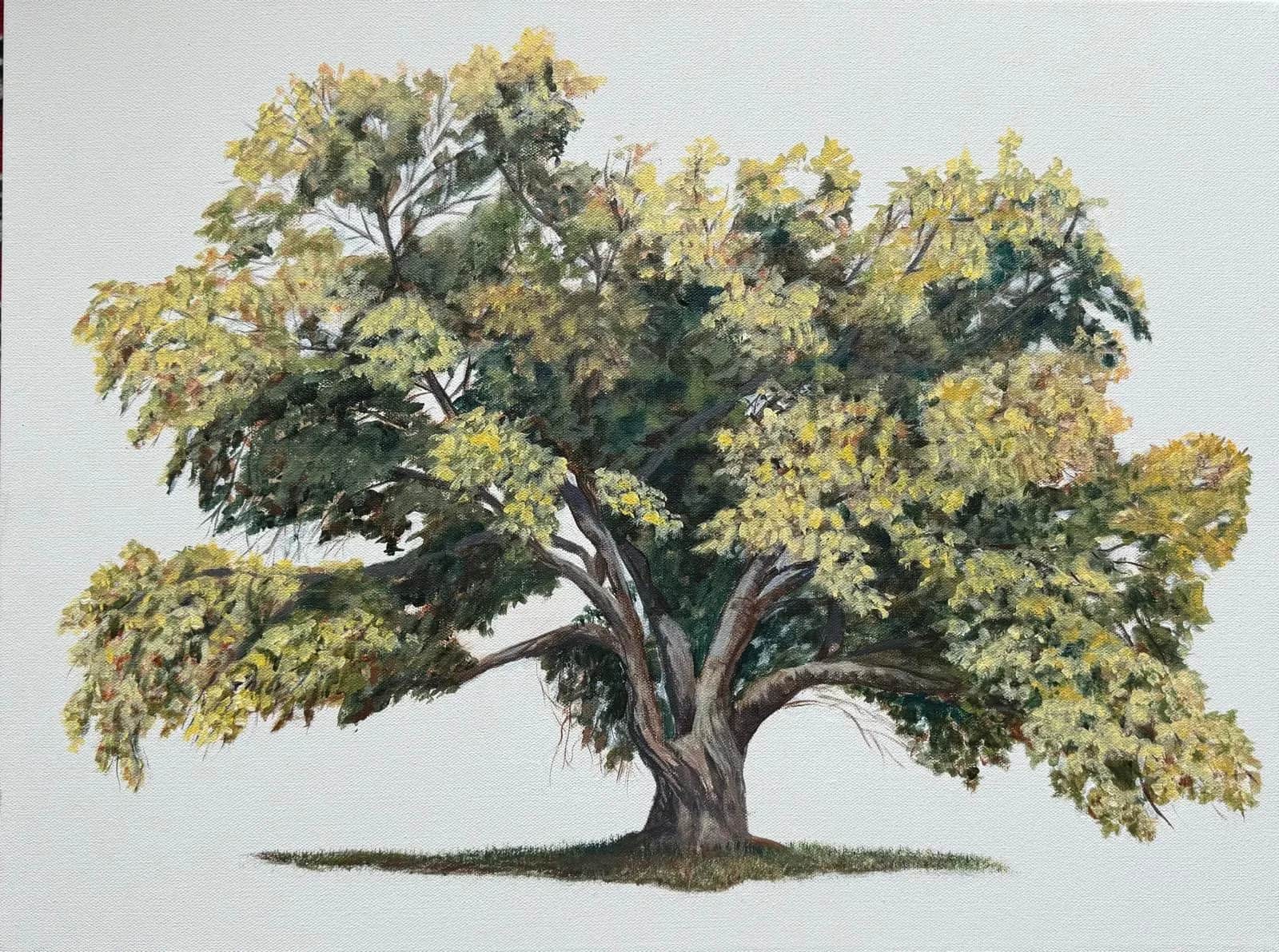 Four Seasons II