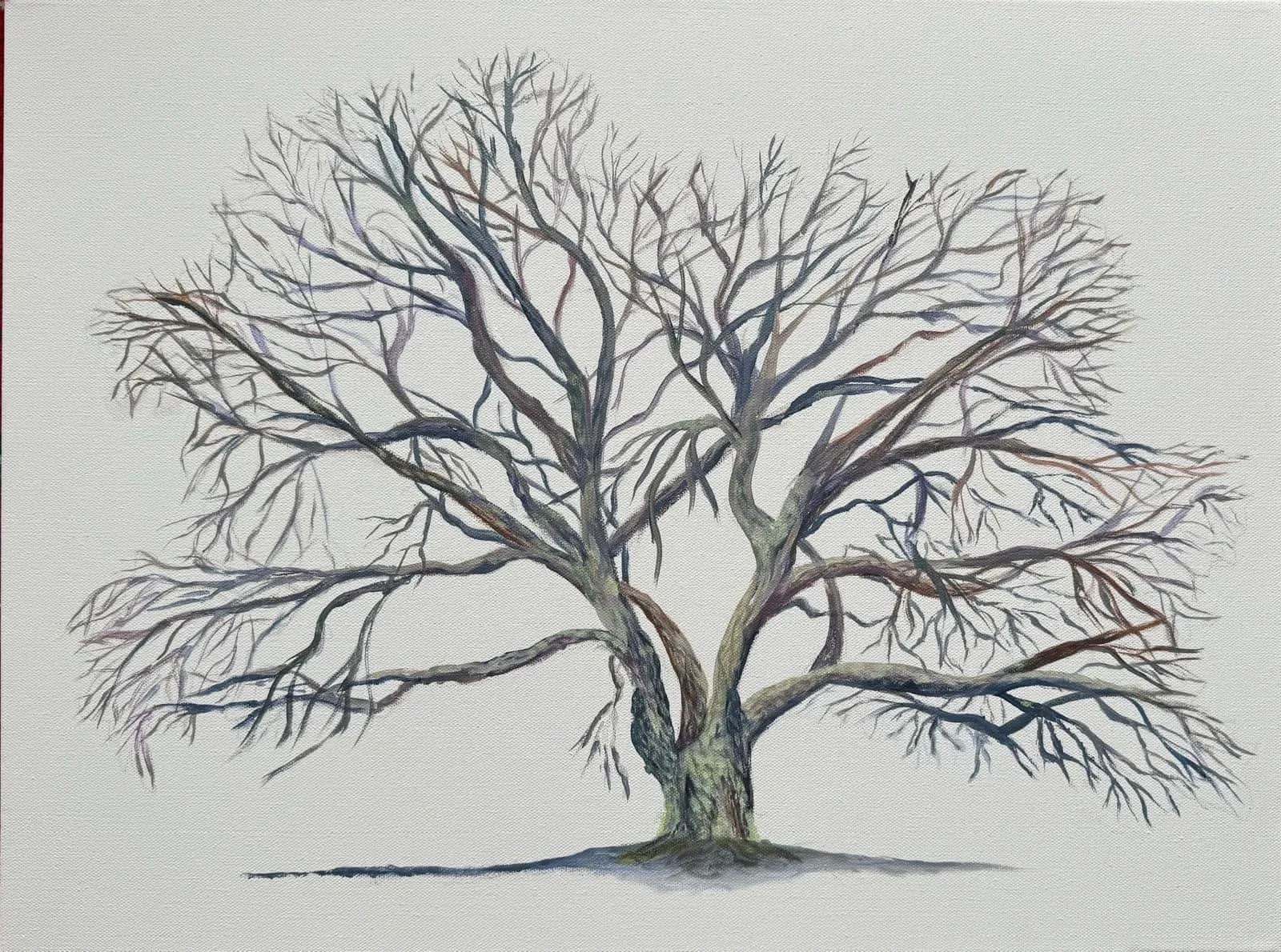 Four Seasons IV